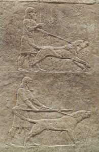 Королевская охота на львов Ассирийская собака