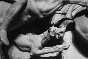 Фрагмент с собакой. Саркофаг Александра Македонского