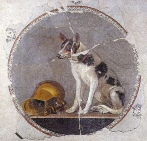 Мозаичный пол с изображением собаки и перевернутого золотого сосуда, 200-100 гг. до н.э. Обнаруженная в 1993 году во время строительства новой Александрийской библиотеки в Египте.