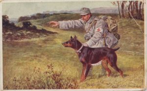 собаки в первой мировой войне 2
