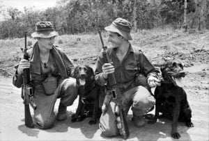 Австралийские солдаты с разыскными собаками. Вьетнам. 1967