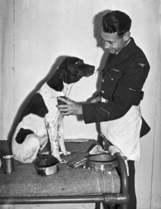 Джуди и Фрэнк. 5 августа 1946 год. Фото Getty images