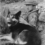 Рейфорд Браун и его собака отдыхают недалеко от форт-поста, Южный Вьетнам. 2 января 1971 год
