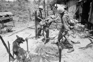 Американские солдаты изучают туннель, предположительно вырытый вьетконговцами. 2 октября 1965. Группа никого не обнаружила.