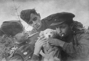 Советские солдаты гладят собаку