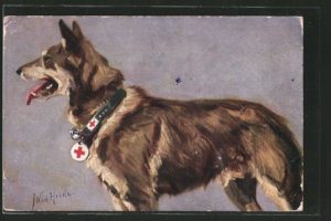 Собаки в Первой мировой войне