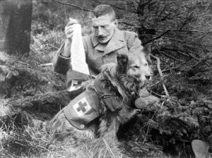 Британский солдат достает из ранца собаки бинты для перевязки