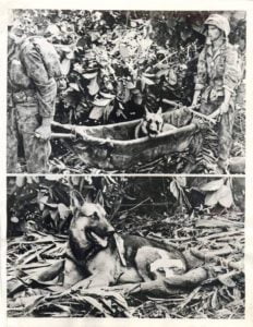 Два пехотинца несут в расположение раненую во время битвы за Бугенвиль собаку по имени Цезарь. 1943 