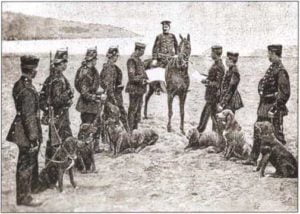 Немецкие войска с посыльными собаками на маневрах в конце XIX в. Париж, 1898 г.