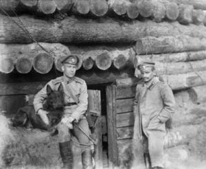 Офицеры Запасного 181 пехотного полка. Фотограф М. М. Смодор. 1916 г.
