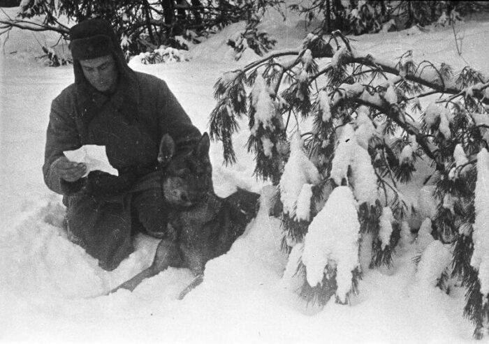 Вожатый с собакой. Район Наро-Фоминска. Период битвы под Москвой, 1941 год